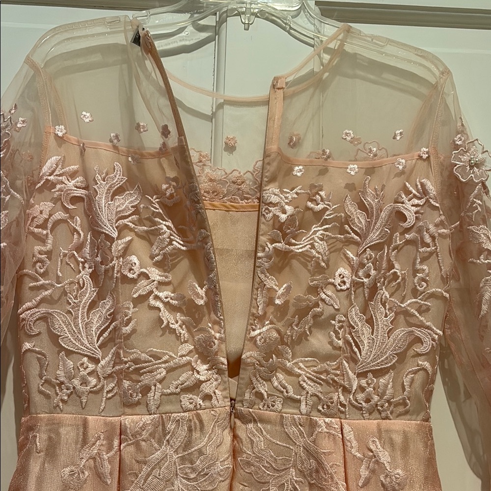Embroidered Illusion Yoke Midi Dress in Blush Pink - Picture 6 of 7